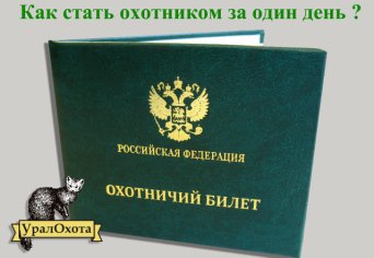 Увеличение численности лося Лоси