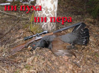 Возраст глухаря, масса Глухарь